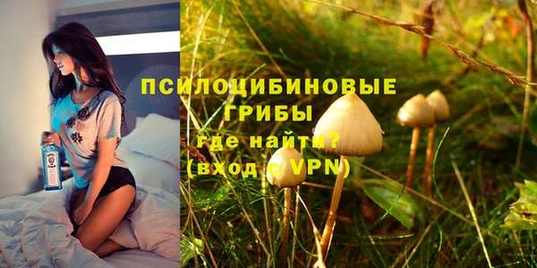 ALPHA PVP Ростов