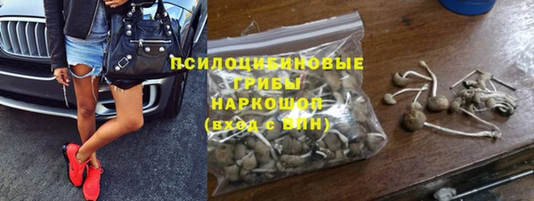 индика Липки