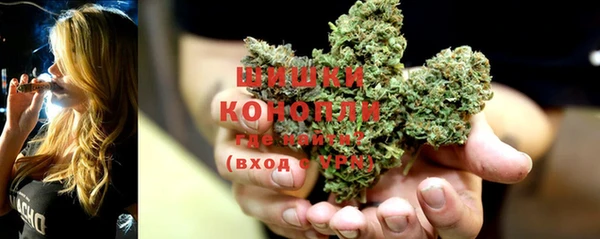 бутират Белокуриха